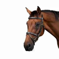 Bridons*Dyon - Bridon muserolle combinée Dy'on Collection Noir