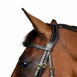 Bridons*Dyon - Bridon muserolle combinée Dy'on Collection Noir