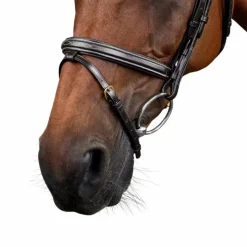 Bridons*Dyon - Bridon muserolle combinée Dy'on Collection Noir