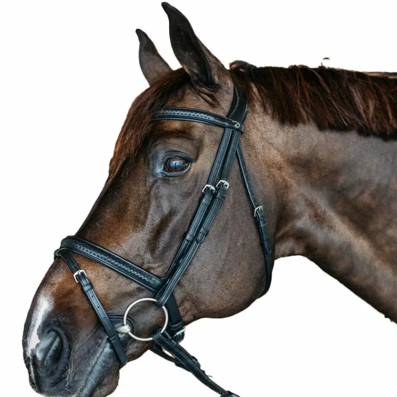 Bridons Poneys|Bridons*Dyon - Bridon muserolle combinée New English cuir Noir