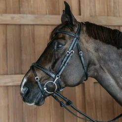 Bridons Poneys|Bridons*Dyon - Bridon muserolle combinée avec mousquetons Working By Noir