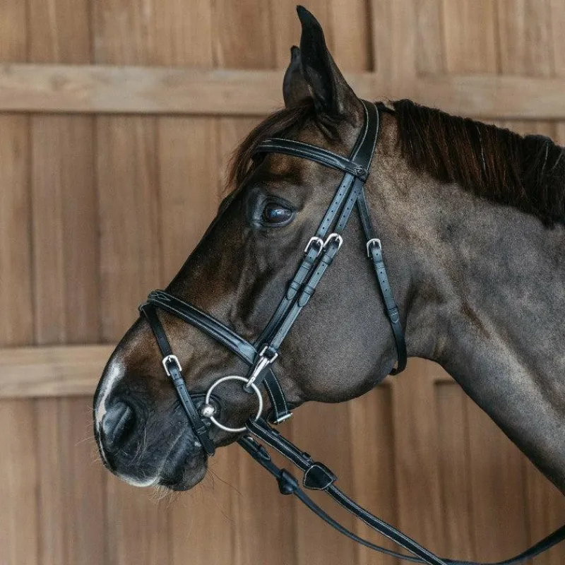 Bridons Poneys|Bridons*Dyon - Bridon muserolle combinée avec mousquetons Working By Noir