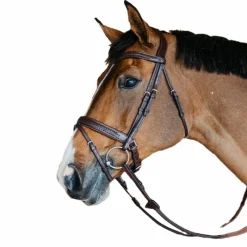 Online - Bridon muserolle combinée large New English tressé pull back cuir havane Bridons Poneys|Bridons