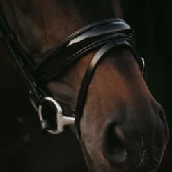 Bridons Poneys|Bridons*Dyon - Bridon muserolle combinée large vernie Working By Noir