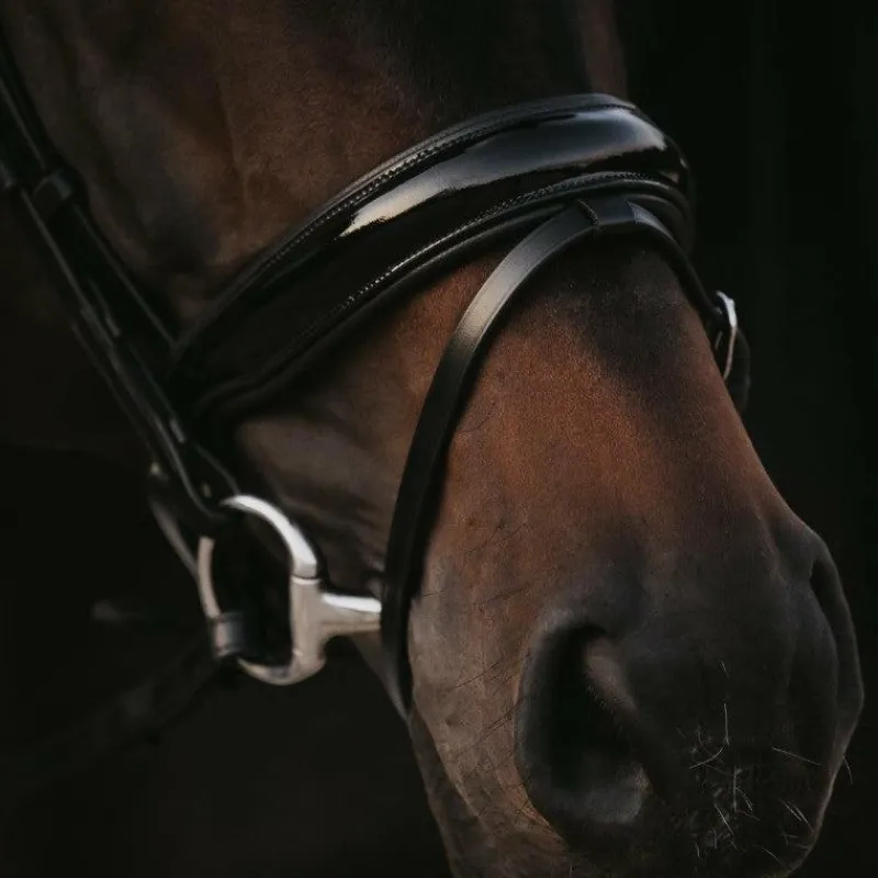 Bridons Poneys|Bridons*Dyon - Bridon muserolle combinée large vernie Working By Noir