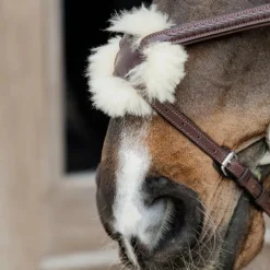 Bridons Poneys|Bridons*Dyon - Bridon muserolle croisée tressée Havane