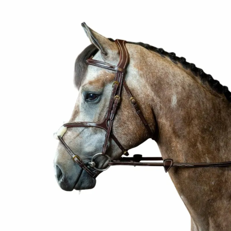 - Bridon muserolle croisée D Collection Bridons Poneys|Bridons