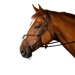 Hot - Bridon muserolle croisée New English Collection Bridons Poneys|Bridons