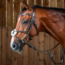 Bridons Poneys|Bridons*Dyon - Bridon muserolle croisée Working by Havane