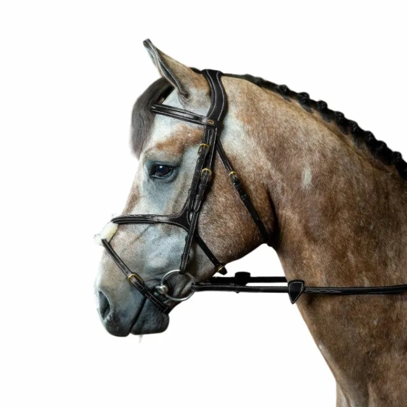 Bridons Poneys|Bridons*Dyon - Bridon muserolle croisée D Collection Noir