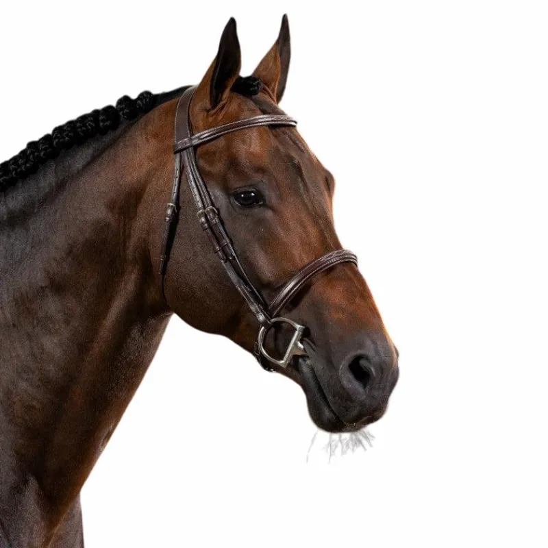 Outlet - Bridon muserolle française US Collection Bridons Poneys|Bridons