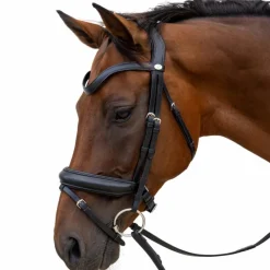 Bridons Poneys|Bridons*Dyon - Bridon muserolle Medium Noir