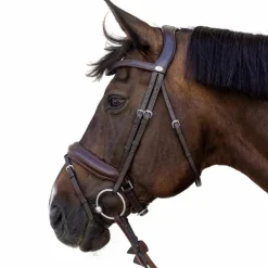 - Bridon muserolle Medium Bridons Poneys|Bridons