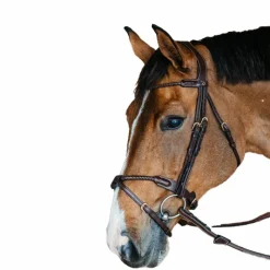 Bridons Poneys|Bridons*Dyon - Bridon muserolle tressée sous-barbe amovible cuir Havane