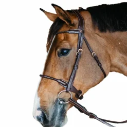 Bridons Poneys|Bridons*Dyon - Bridon muserolle tressée sous-barbe amovible cuir Havane