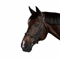 Bridons*Dyon - Bridon New English Collection Noir