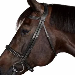 Bridons*Dyon - Bridon New English Collection Noir