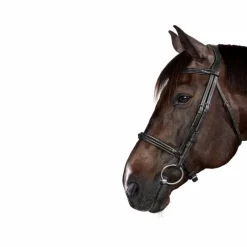 Bridons*Dyon - Bridon New English Collection Noir