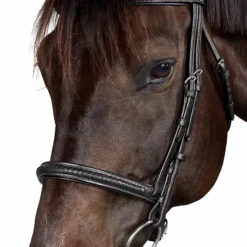 Bridons*Dyon - Bridon New English Collection Noir