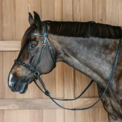 - Bridon sans mors Working by Dy'on Bridons Poneys|Bridons