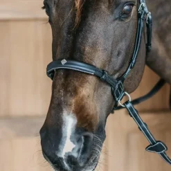 - Bridon sans mors Working by Dy'on Bridons Poneys|Bridons