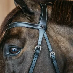 - Bridon sans mors Working by Dy'on Bridons Poneys|Bridons