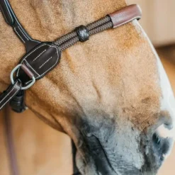 Bridons Poneys|Bridons*Dyon - Bridon sans mors Working by Dy'on Havane