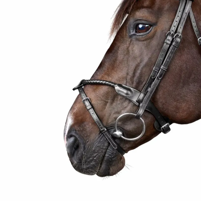 Bridons*Dyon - Bridon tressé avec noseband amovible New English Collection Noir