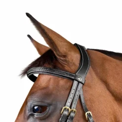 Sale - Bridon tressé Dy'on Collection Bridons