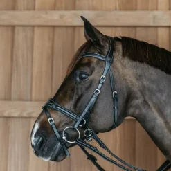 Hot - Bridon Working Motion Working By Bridons Poneys|Bridons