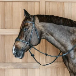 Hot - Bridon Working Motion Working By Bridons Poneys|Bridons