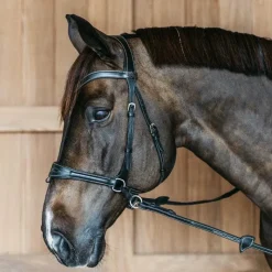 Hot - Bridon Working Motion Working By Bridons Poneys|Bridons