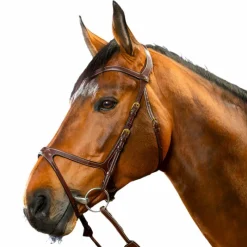 Bridons Poneys|Bridons*Dyon - Bridon X-Fit D Collection Havane