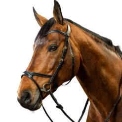 Online - Bridon X-Fit D Collection Bridons Poneys|Bridons