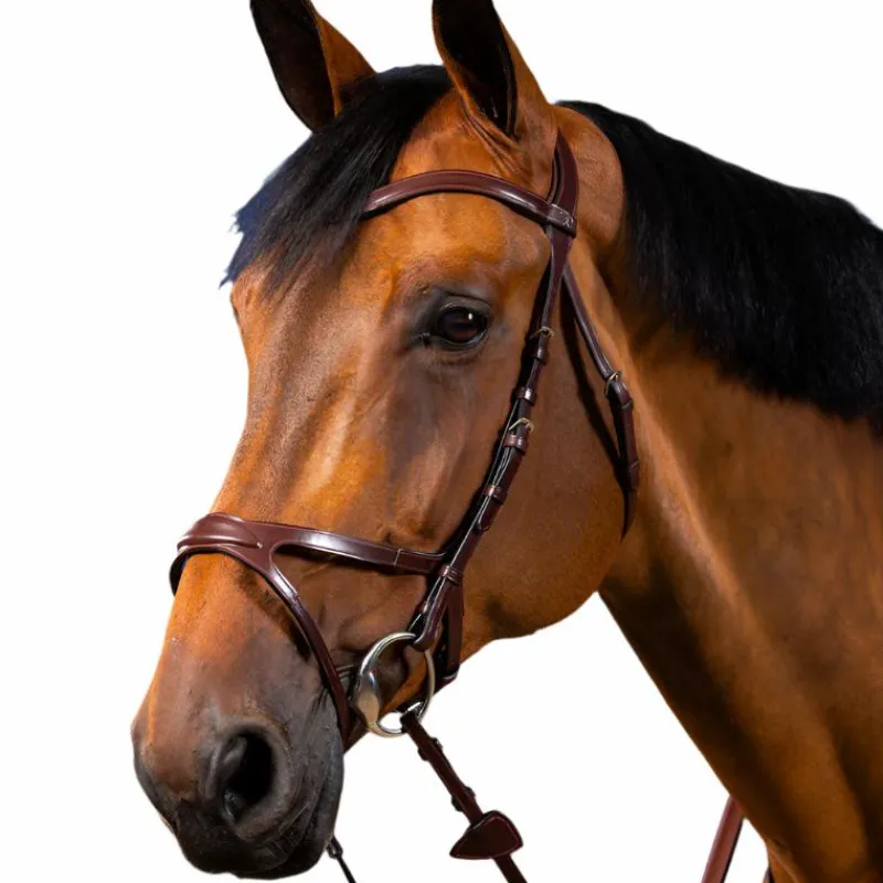 Bridons Poneys|Bridons*Dyon - Bridon X-Fit New English Collection Havane