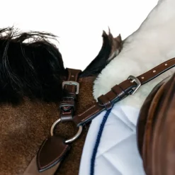 Colliers De Chasse Poneys|Colliers De Chasse*Dyon - Collier de chasse 5 points élastique New English Collection Marron