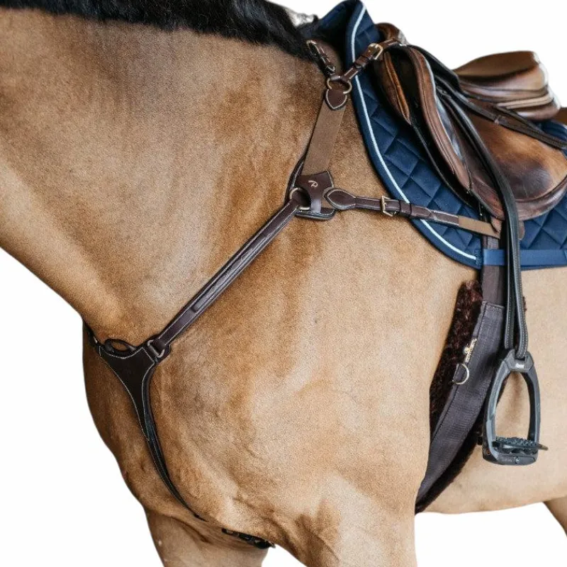 Sale - Collier de chasse 5 points élastique D Collection Colliers De Chasse Poneys|Colliers De Chasse