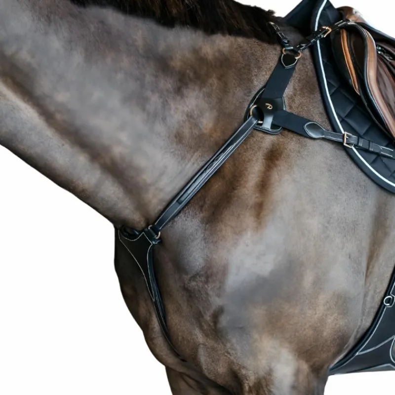 Discount - Collier de chasse 5 points élastique D Collection Colliers De Chasse Poneys|Colliers De Chasse