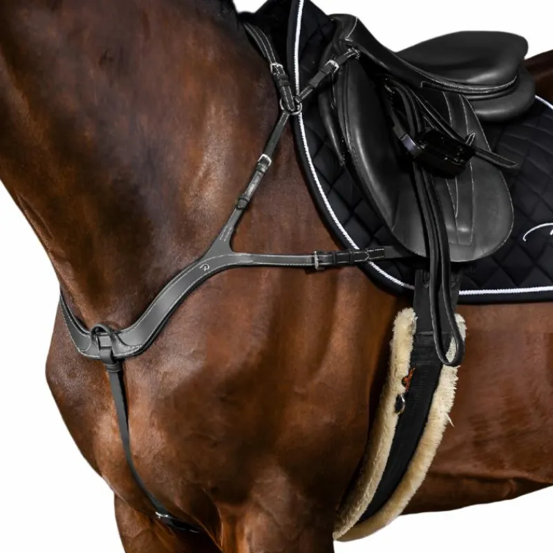 Colliers De Chasse Poneys|Colliers De Chasse*Dyon - Collier de chasse anatomique US Collection Noir