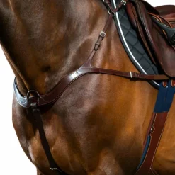 Colliers De Chasse Poneys|Colliers De Chasse*Dyon - Collier de chasse anatomique New English Collection brun Marron