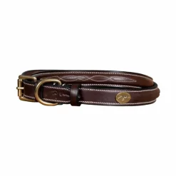 Clearance - Collier pour chien Fancy brun Colliers