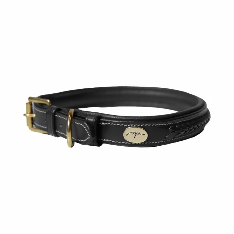 Colliers*Dyon - Collier pour chien tressé plat Noir