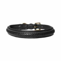 Colliers*Dyon - Collier pour chien tressé plat Noir