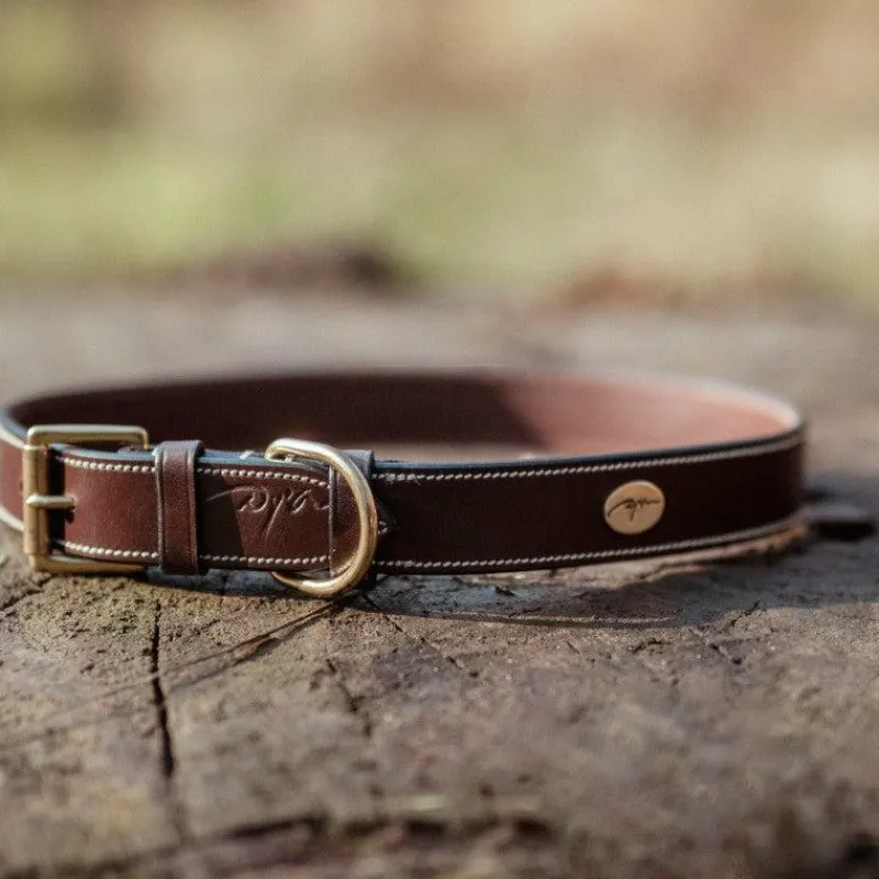 Online - Collier pour chien cuir Plat brun Colliers