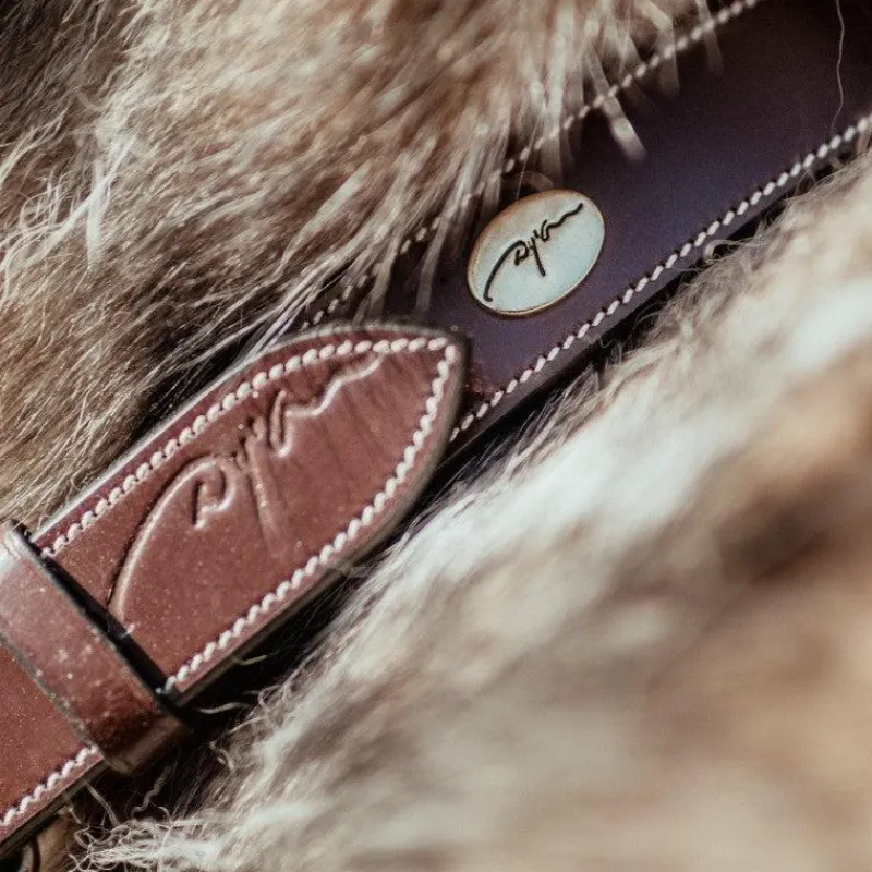 Online - Collier pour chien cuir Plat brun Colliers