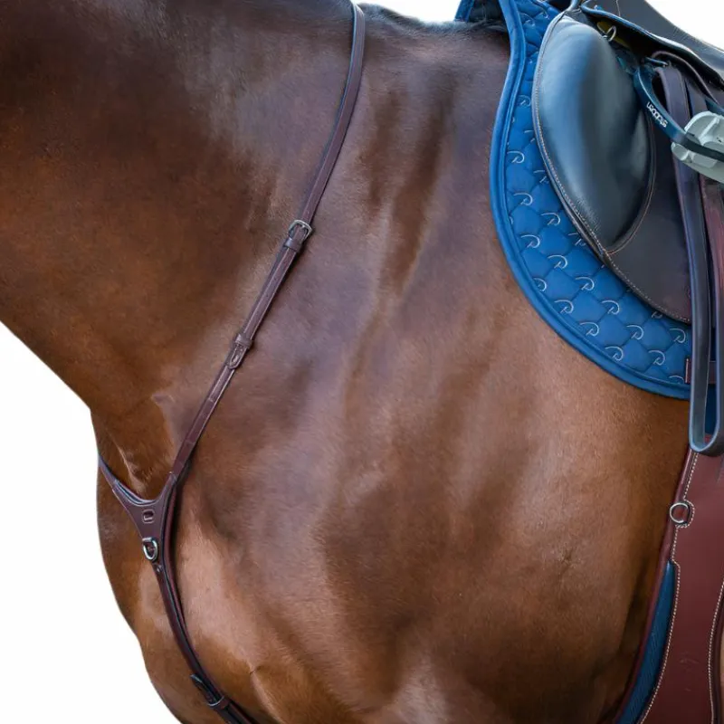 Discount - Collier Yoke New English Collection brun Enrênements Poneys|Martingales