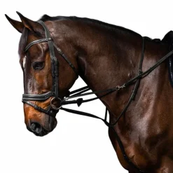 Enrênements Poneys|Howlett/ Thiedeman*Dyon - Enrênement Howlett complet Working by Noir