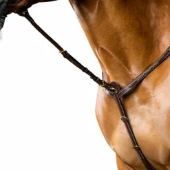 Enrênements Poneys|Martingales*Dyon - Fourchette de martingale fixe D Collection brun Marron