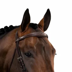 Accessoires De Bridons Poneys|Frontaux*Dyon - Frontal droit anatomique US Collection Marron