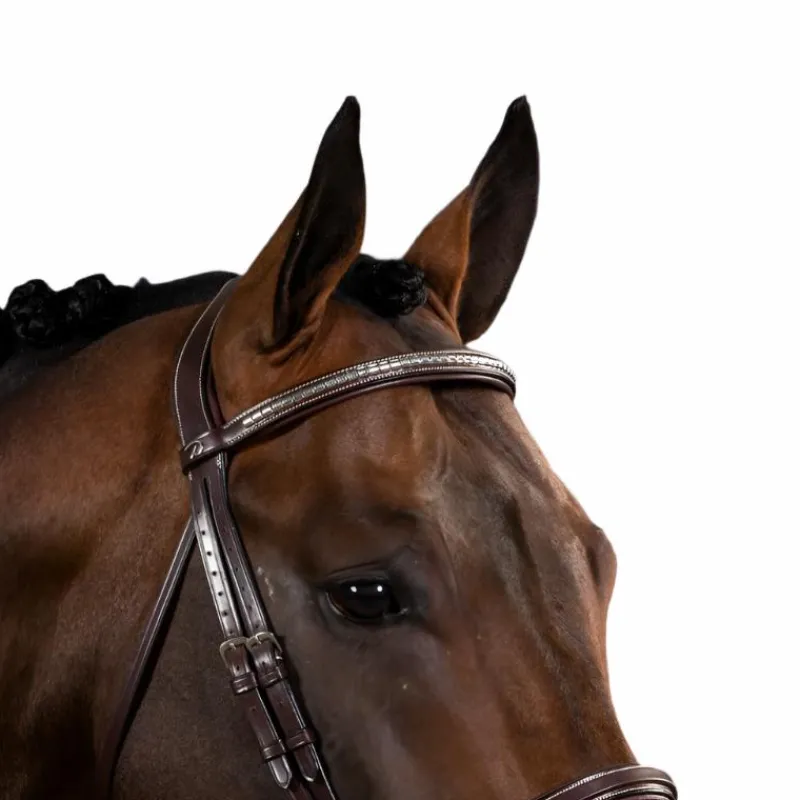Hot - Frontal droit clincher argenté US Collection Accessoires De Bridons Poneys|Frontaux